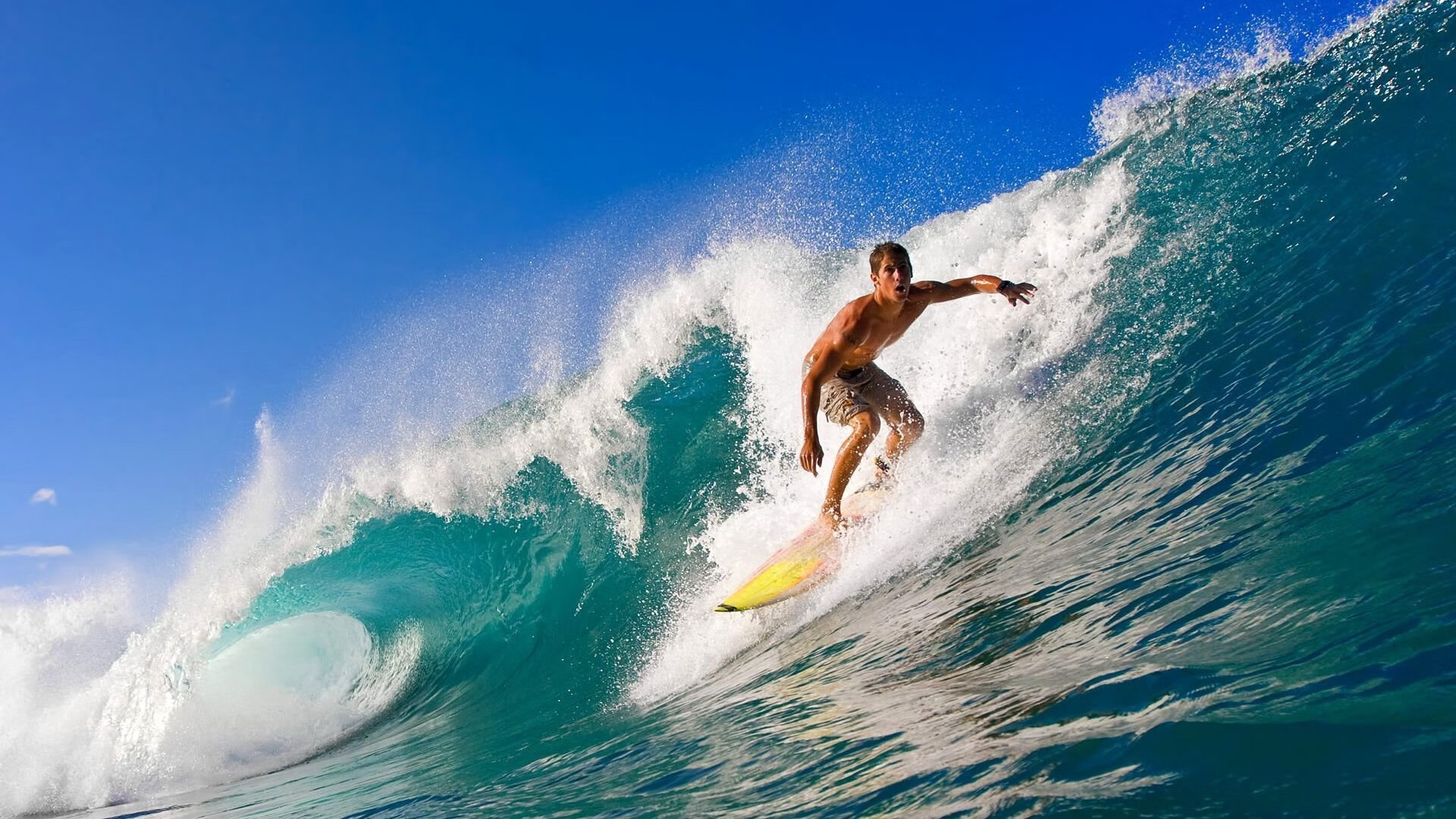 体育产业迎来新机遇,政策扶持与市场创新双轮驱动